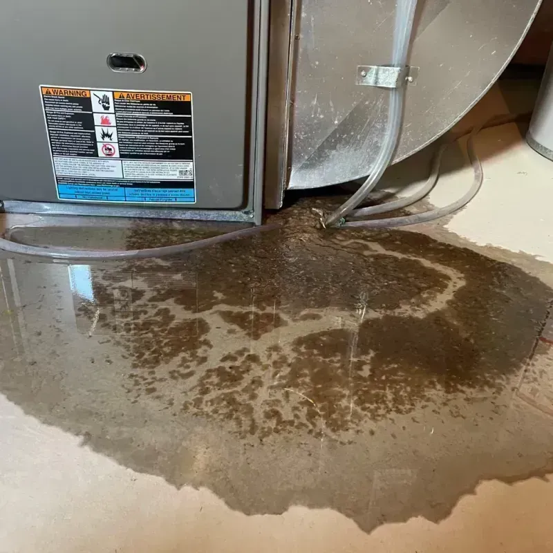 Appliance Leak Cleanup in Albany Park, IL